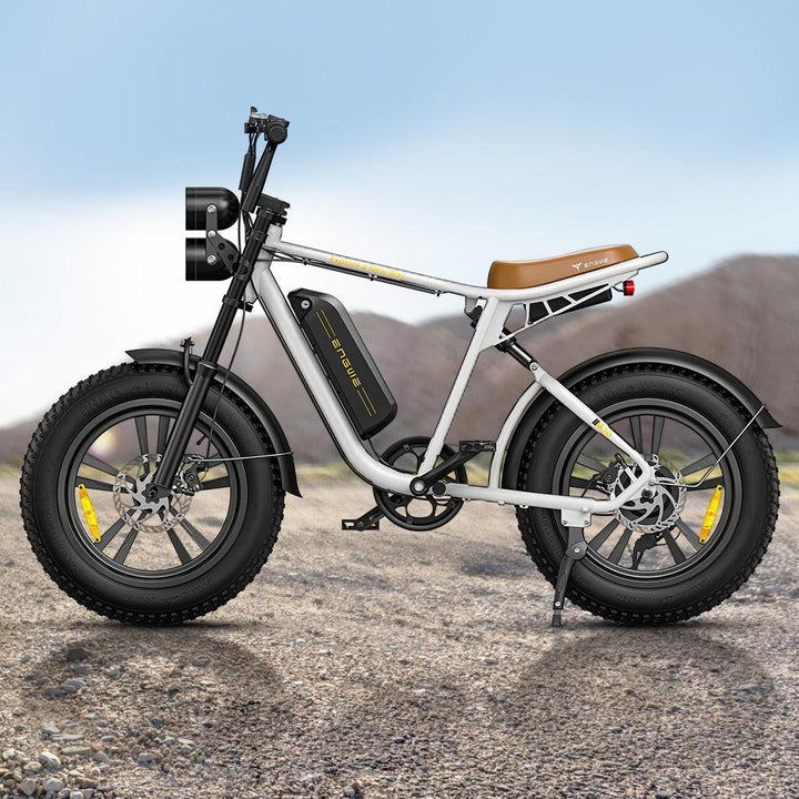 ENGWE M20 750W 20" Fat Bike E-Mountain Bike 48V 13Ah Battery 45KM/H