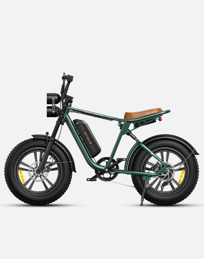 ENGWE M20 750W 20" Fat Bike E-Mountain Bike 48V 13Ah Battery 45KM/H