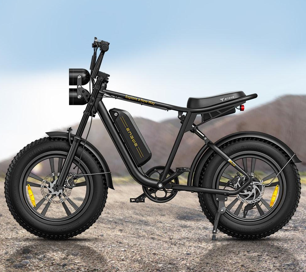 ENGWE M20 750W 20" Fat Bike E-Mountain Bike 48V 13Ah Battery 45KM/H