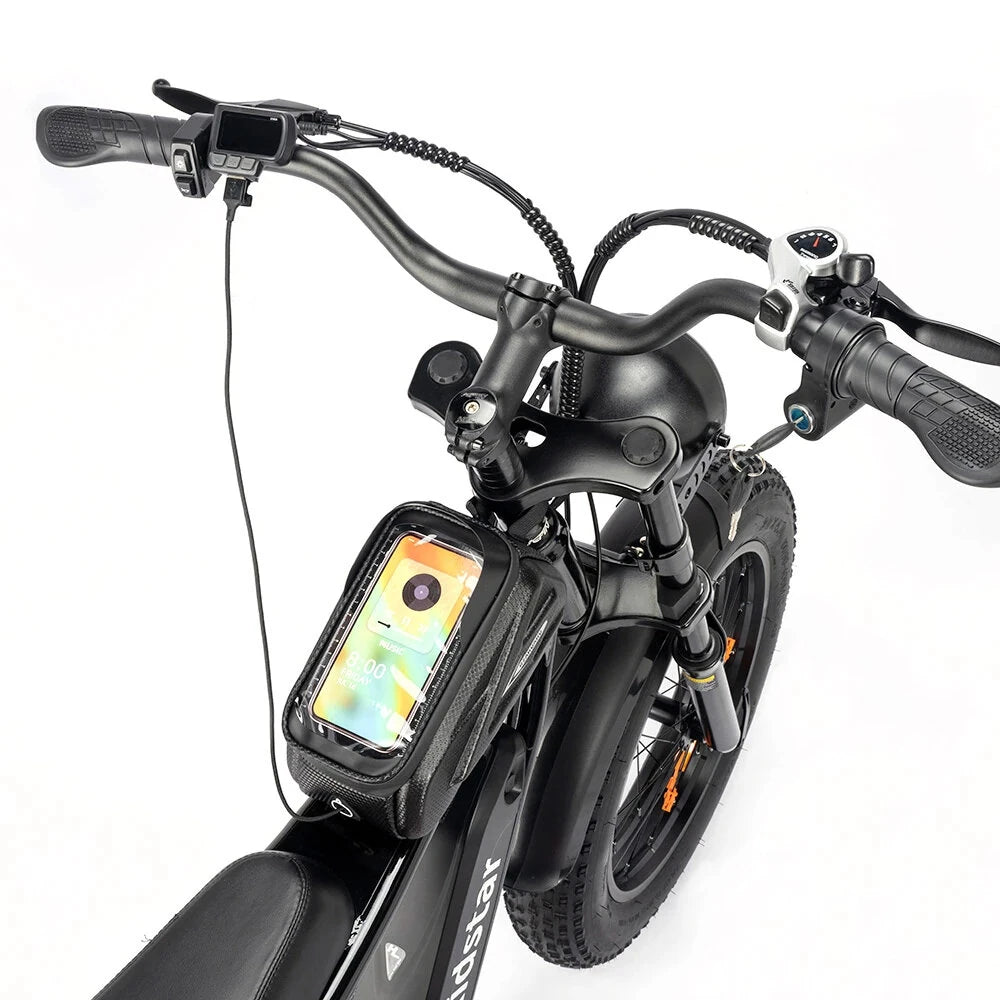 RIDSTAR Q20 Lite 20" Fat Tires Electric Bike 1000W Motor 48V 15Ah Battery