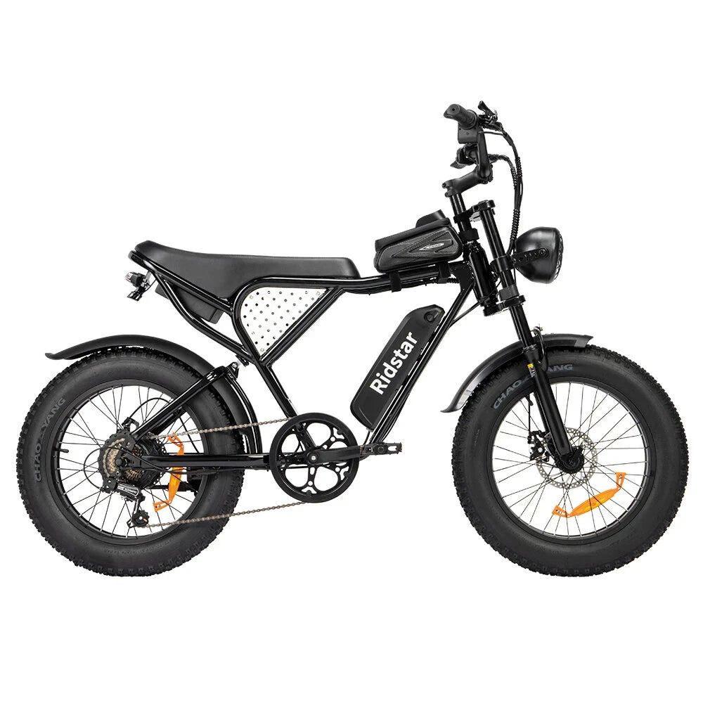 RIDSTAR Q20 Lite 20" Fat Tires Electric Bike 1000W Motor 48V 15Ah Battery