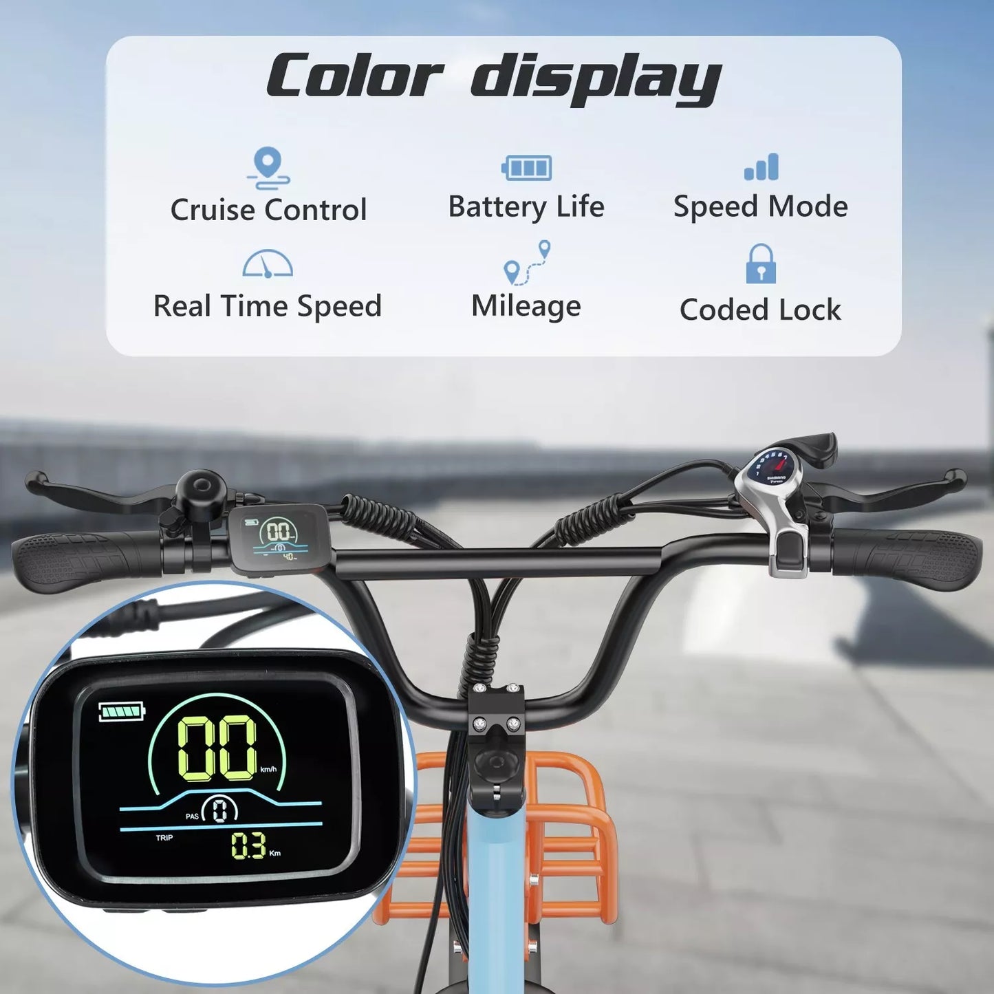 Hidoes C6 Fat Tire E-Bike – 250W Motor, 36V Battery, 24KMH, 40KM Range