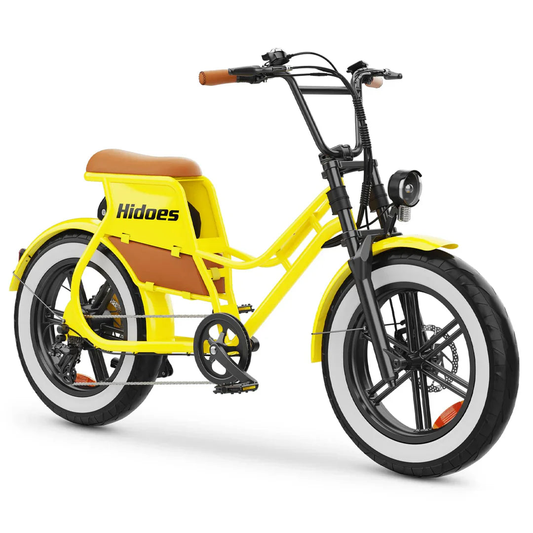 Fat-Tire E-Bikes