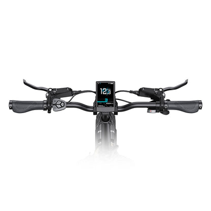 Engwe L20 3.0 PRO 250W Mid-drive Motor 20" Foldable Electric Bike 720Wh Step-through E-bike Support Apps