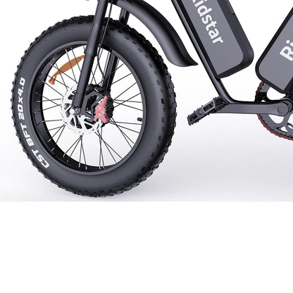 Ridstar Q20 Pro - 2000W Dual Motor E-Bike, 52V 40AH Battery, 20" Fat Tires, Dual Suspension
