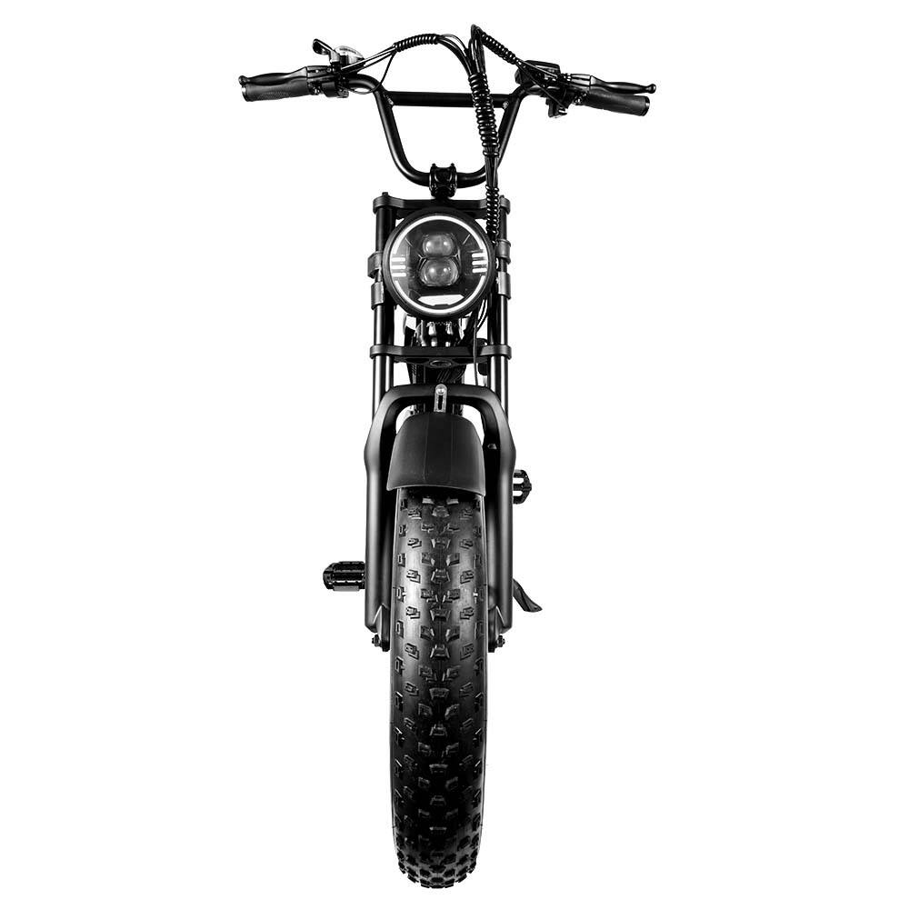Saibaike FXH009 20” Fat Tire Electric Bike – 500W Motor, 48V 15Ah Battery, 45KMH, 80KM Range