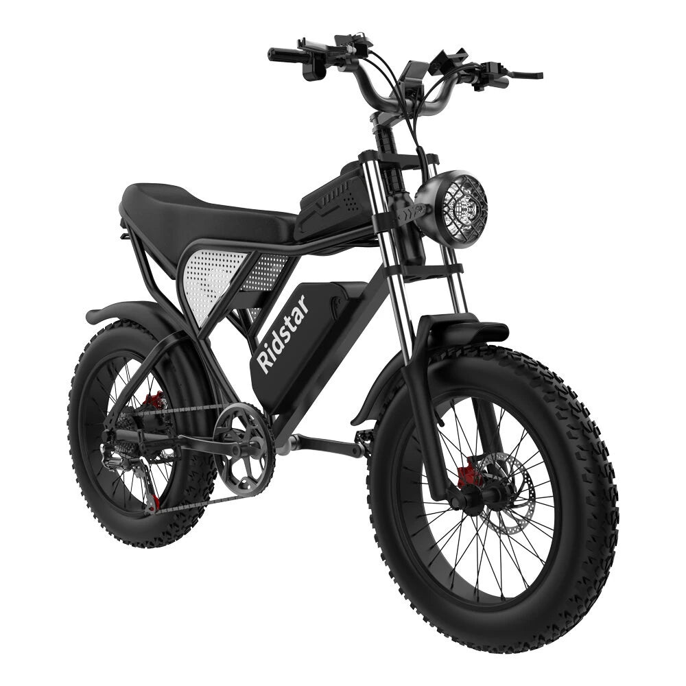 Ridstar Q20 Electric Bike 48V 20AH Battery 1000W Motor 20inch Tires 70-90KM Max Mileage 150KG Max Load Electric Bicycle