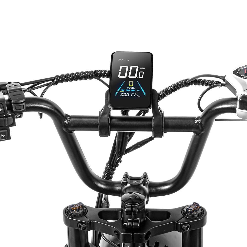Saibaike FXH009 20” Fat Tire Electric Bike – 500W Motor, 48V 15Ah Battery, 45KMH, 80KM Range