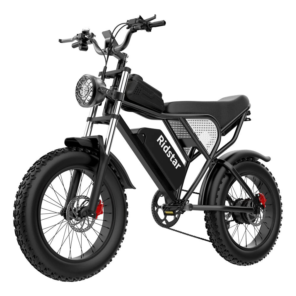 Ridstar Q20 Electric Bike 48V 20AH Battery 1000W Motor 20inch Tires 70-90KM Max Mileage 150KG Max Load Electric Bicycle