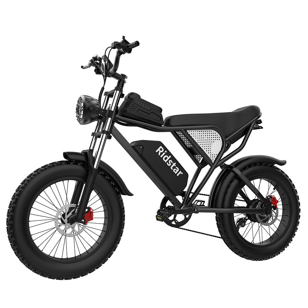 Ridstar Q20 Electric Bike 48V 20AH Battery 1000W Motor 20inch Tires 70-90KM Max Mileage 150KG Max Load Electric Bicycle