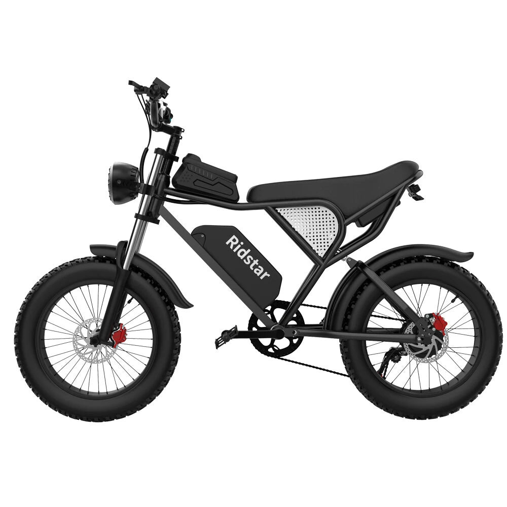 Ridstar Q20 Electric Bike 48V 20AH Battery 1000W Motor 20inch Tires 70-90KM Max Mileage 150KG Max Load Electric Bicycle
