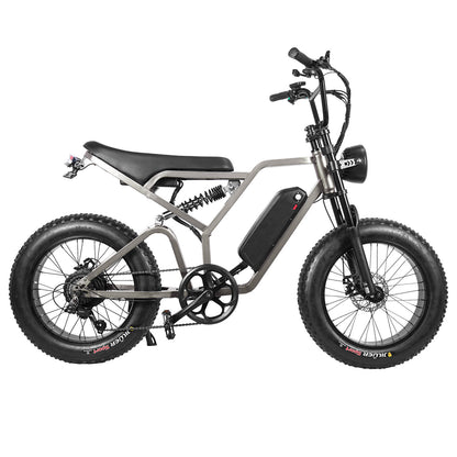Saibaike FXH009 20” Fat Tire Electric Bike – 500W Motor, 48V 15Ah Battery, 45KMH, 80KM Range