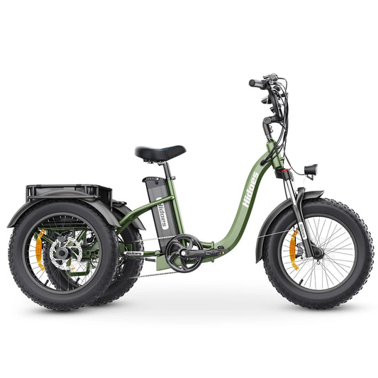 Hidoes ET1 Electric Tricycle – 750W Motor, 48V 20Ah Battery, 3-Wheel E-Trike with Cargo Space