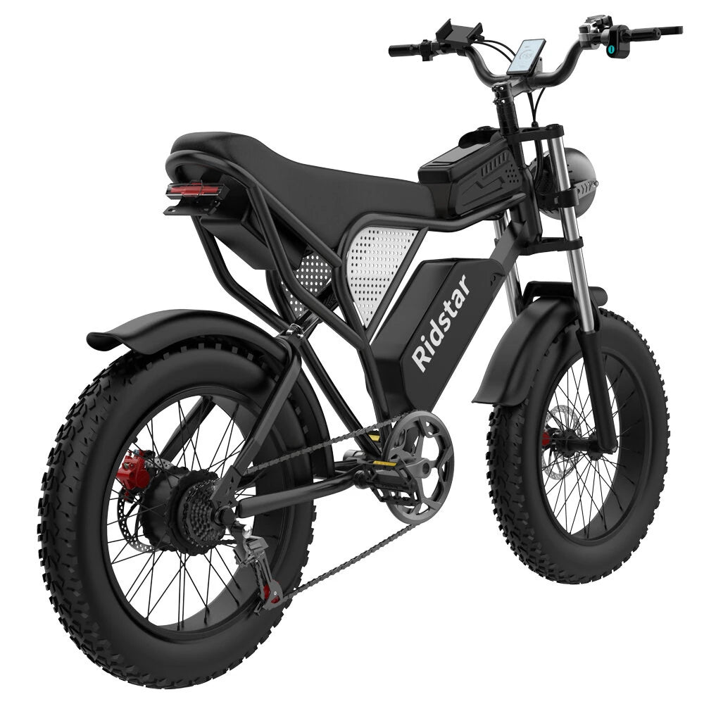 Ridstar Q20 Electric Bike 48V 20AH Battery 1000W Motor 20inch Tires 70-90KM Max Mileage 150KG Max Load Electric Bicycle