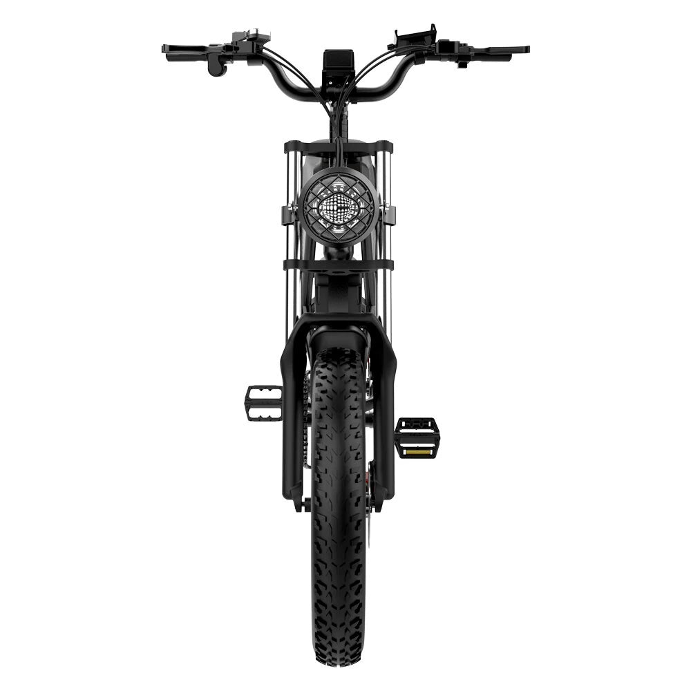 Ridstar Q20 Electric Bike 48V 20AH Battery 1000W Motor 20inch Tires 70-90KM Max Mileage 150KG Max Load Electric Bicycle
