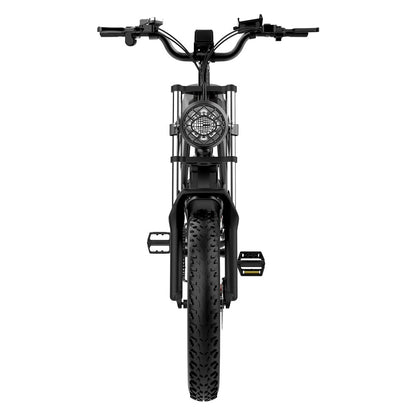 Ridstar Q20 Electric Bike 48V 20AH Battery 1000W Motor 20inch Tires 70-90KM Max Mileage 150KG Max Load Electric Bicycle